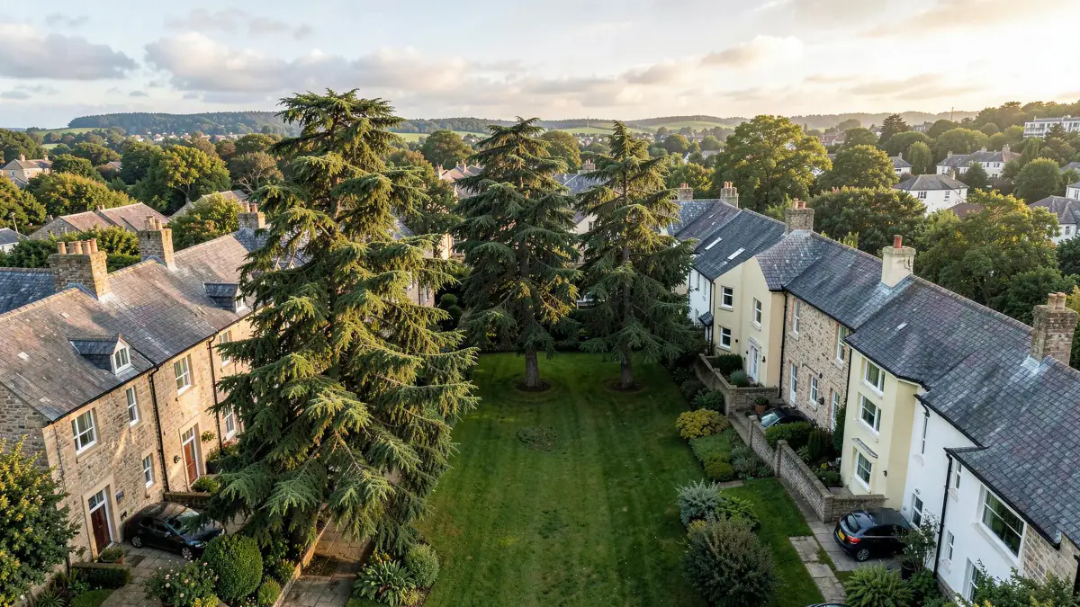 Hollybush Court from the air with the green at its centre